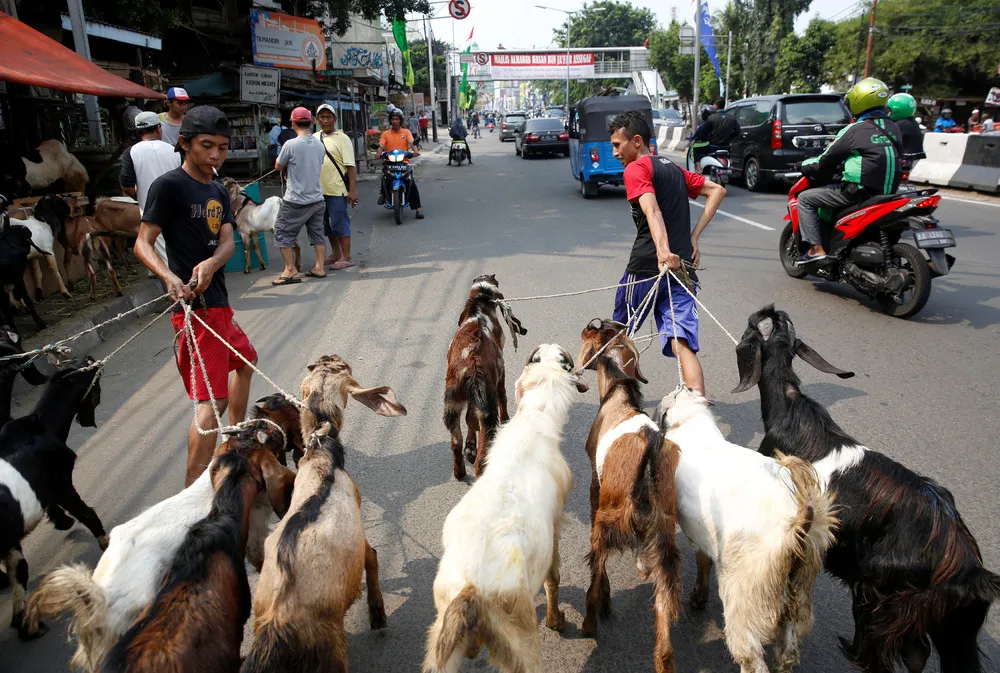 A Look at Life in Indonesia