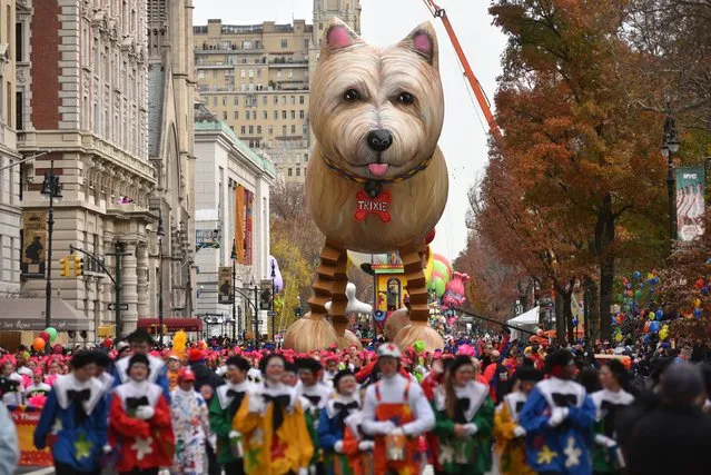 Trixie balloon floats down Central Park West in the Macy's 90th Annual Thanksgiving Day Parade in New York, New York, USA, 24 November 2016. (Photo by Erik Pendzich/Rex Features/Shutterstock)