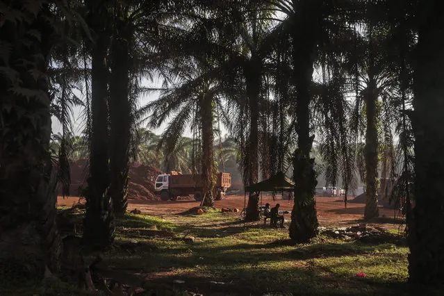 Two men (C) known as the 'tonto', guards hired to protect the mining activities from angry villagers and observation by the media, sit between trees as Bauxite mining activities are going on as usual despite the recent strong opposition from local residents in Bukit Goh, Kuantan, Pahang state, Malaysia, 06 January 2015. After hundreds of dead fish have been washed up in nearby Sungai Tonggak on 05 January, residents in the area are on alert and in fear of a possible bauxite contamination. (Photo by Fazry Ismail/EPA)