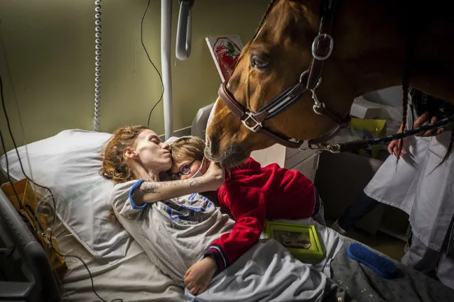 In this image released by World Press Photo, Thursday April 15, 2021, by Jeremy Lempin, Divergence-Images, titled Doctor Peyo and Mister Hassen, which won second prize in the Contemporary Issues category, shows Marion (24), who has metastatic cancer, embraces her son Ethan (7) in the presence of Peyo, a horse used in animal-assisted therapy, in the Selene Palliative Care Unit at the Centre Hospitalier de Calais, in Calais, France, on 30 November 2020. (Photo by Jeremy Lempin, Divergence-Images, World Press Photo via AP Photo)