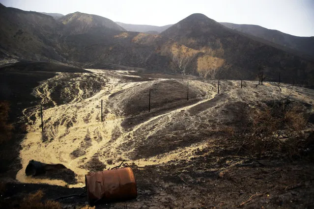 Mud and debris flow down hillsides burned in a recent brush fire after heavy rain from the first in a series of El Nino storms that passed over the area above Solimar Beach in Ventura, Calif., Wednesday January 6, 2016. (Photo by Joel Angel Juárez/AP Photo)