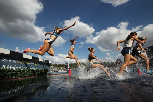 Stella Radford falls in the Women's 3000m Steeplechase Final during the Australian Track & Field Championships at Sydney Olympic Park Athletic Centre on April 18, 2021 in Sydney, Australia. (Photo by Matt King/Getty Images)