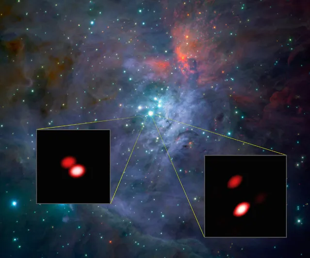This handout picture released by the the European Southern Observatory on January 13, 2016 shows the bright, young stars known as the Trapezium Cluster, located in the heart of the Orion star-forming region, observed with the new GRAVITY instrument. From these first data, GRAVITY made a discovery: one of the components of the cluster (Theta1 Orionis F, lower left) was found to be a double star for the first time. The brighter double star Theta1 Orionis C (lower right) is also well seen. (Photo by AFP Photo/European Southern Observatory)