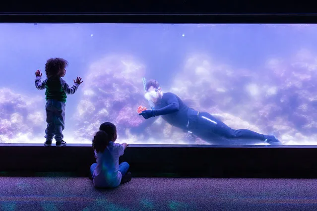 Meyler (centre) and Marcelo Noone-Taylor (left) watch Aquarist Jeremy Simmons examine corals at the new “Tiny Giants” exhibit at ZSL London Zoo on May 16, 2021, which features a 7-metre long aquarium reef tank, which will be filled with corals rescued from the illegal wildlife trade over the past two decades, and which is opening to the public on Monday after lockdown restrictions are eased. (Photo by Dominic Lipinski/PA Images via Getty Images)