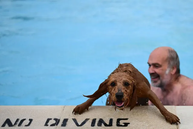 An owner helps his dog exit the water during the 2023 Saltdean Lido Dog Swim event, in the coastal village of Saltdean, near Brighton, southern England, on September 24, 2023. Known as “Dogtember” Salt Dean Lido open their doors to dogs and their owners to enjoy the water before closing for the season. (Photo by Ben Stansall/AFP Photo)