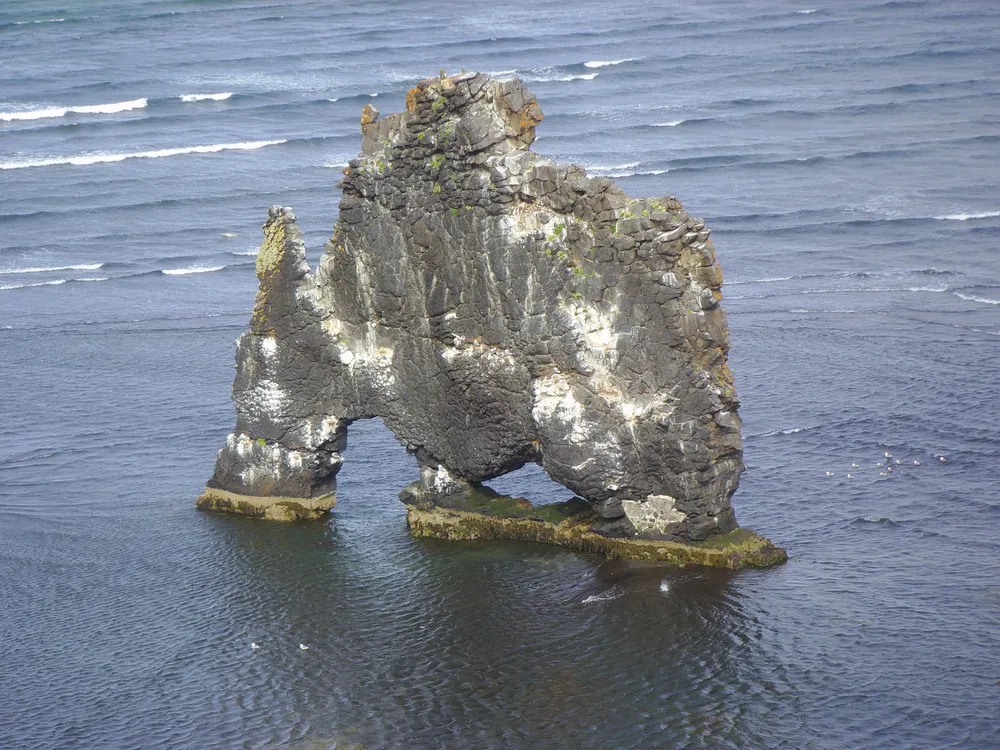 Icelandic Dinosaur – Hvítserkur