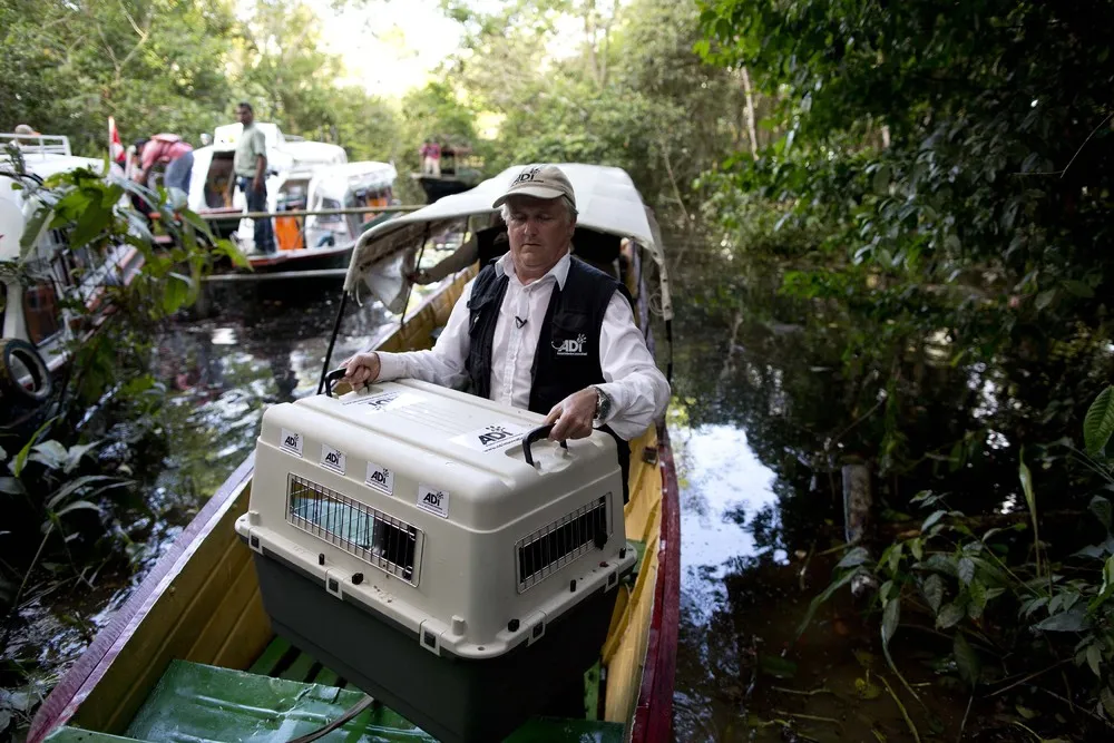 Animals Rescue this Week