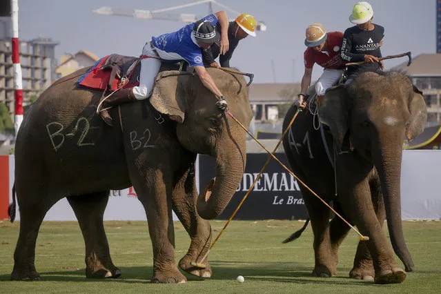 Elephant polo players in action during the King's Cup Elephant Polo event 2016 final between teams King Power (blue) and The Elephant Story, in Bangkok, Thailand, March 13, 2016. Team King Power won the annual charity event, which is now in its 14th edition. This year's edition involved 18 elephants brought from tourist trekking camps in Pattaya as well as some unemployed in Surin, and a total of 10 teams encompassing over 40 players, in this event directed at raising funds to improve the lives of elephants and elephant conservation. (Photo by Diego Azubel/EPA)