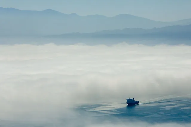 The Bluebridge ferry sails out of the fog on Wellington Harbour on February 20, 2014 in Wellington, New Zealand. (Photo by Hagen Hopkins/Getty Images)