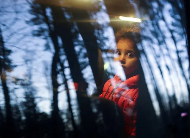 A child from a group of migrants looks through a window of a vehicle in a forest near the Polish-Belarusian border outside Narewka, Poland November 9, 2021. A group of migrants was guided out of the forest by Polish border guards and taken to a detention centre.. (Photo by Kacper Pempel/Reuters)