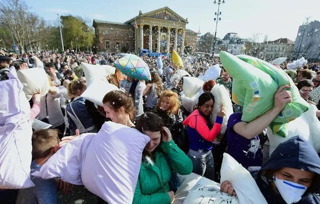 People fight with pillows during the International Pillow Fight Day at the Heroes Square in Budapest, Hungary, on April 2, 2016. (Photo by Attila Kisbenedek/AFP Photo)