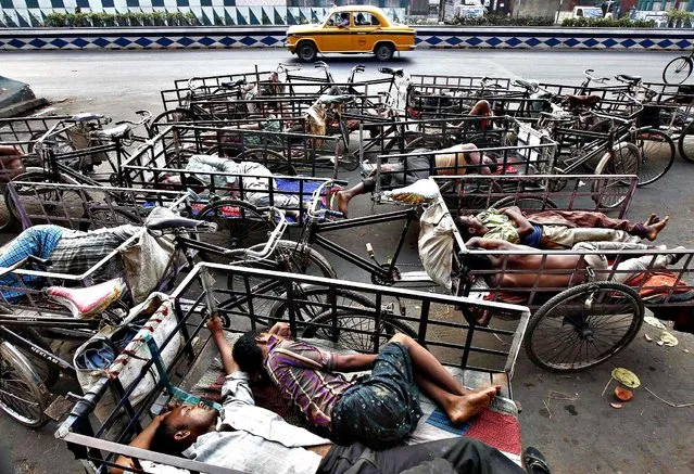 A yellow Ambassador taxi moves past cycle rickshaw pullers sleeping along a roadside in the early morning in Kolkata April 1, 2014. (Photo by Rupak De Chowdhuri/Reuters)