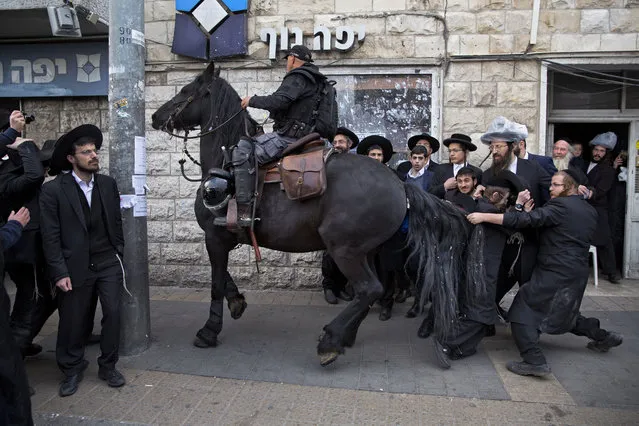 An ultra-Orthodox Jew pulls Israeli police horse's tail horse during a protest against Israeli army conscription, in Jerusalem, Wednesday, March 15 , 2017. Ultra-Orthodox Jews have for years been exempt from military service, which is compulsory for Jewish Israelis. The arrangement has caused widespread resentment among Israel's secular majority. The ultra-Orthodox claim the military will expose their youth to secularism and undermine their devout lifestyle. (Photo by Oded Balilty/AP Photo)