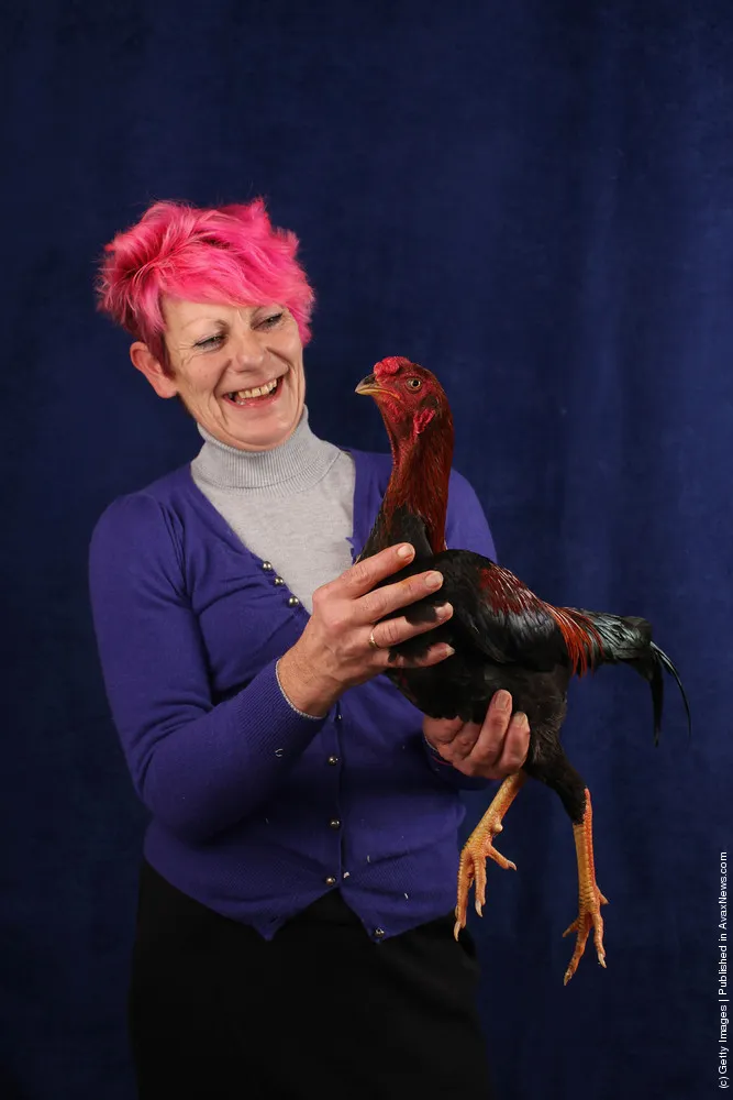 Enthusiasts Participate In The National Poultry Show