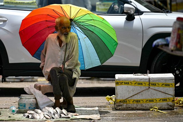 A fish vendor waiting for customers takes shade under an umbrella on a hot summer afternoon in New Delhi on May 29, 2024, amid ongoing heatwave. Temperatures in India's capital have soared to a record-high 49.9 degrees Celsius (121.8 degrees Fahrenheit) as authorities warn of water shortages in the sprawling mega-city. (Photo by Arun Sankar/AFP Photo)