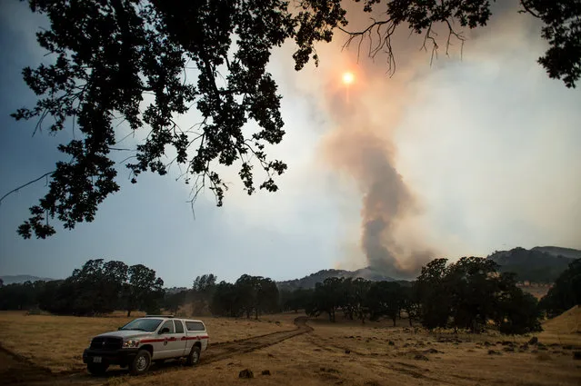 A column of smoke rises from the Wragg fire near Winters, Calif., on Thursday, July 23, 2015. According to Cal Fire, the blaze scorched more than 6,000 acres and is threatening 200 structures. (Photo by Noah Berger/AP Photo)
