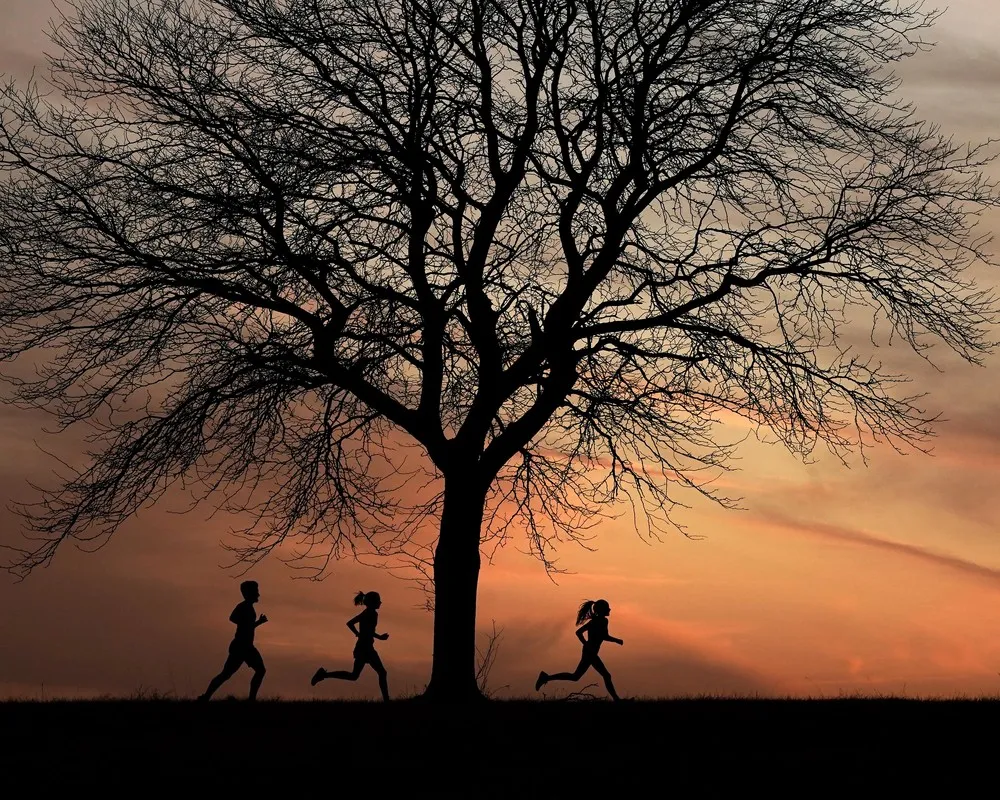 Sunrises and Sunsets