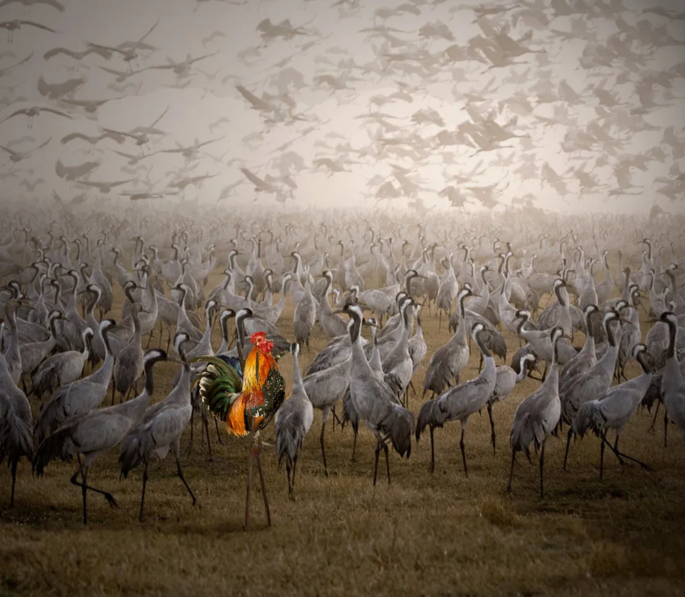 Digital Art by Giovanni Ambrosioni