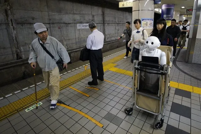 Tomomi Ota pushes a cart loaded with her humanoid robot Pepper on a subway platform in Tokyo, Japan, 27 June 2016. (Photo by Franck Robichon/EPA)