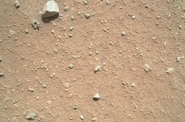 On September 8, 2012, Curiosity's Mars Hand Lens Imager (MAHLI) took this detailed image of Martian soil. The patch of ground shown is about 34 inches (86 centimeters) across. The size of the largest pebble, near the top of the image, is about 3 inches (8 centimeters). Notice that the ground immediately around that pebble has less dust visible (more gravel exposed) than in other parts of the image. The presence of the pebble may have affected the wind in a way that preferentially removes dust from the surface around it. (Photo by NASA/JPL-Caltech/Malin Space Science Systems)