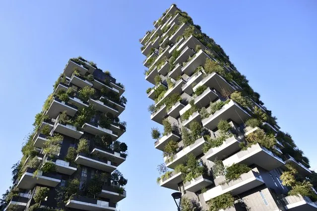 The Bosco Verticale (vertical forest) towers are seen in Milan, August 29, 2015. (Photo by Flavio Lo Scalzo/Reuters)