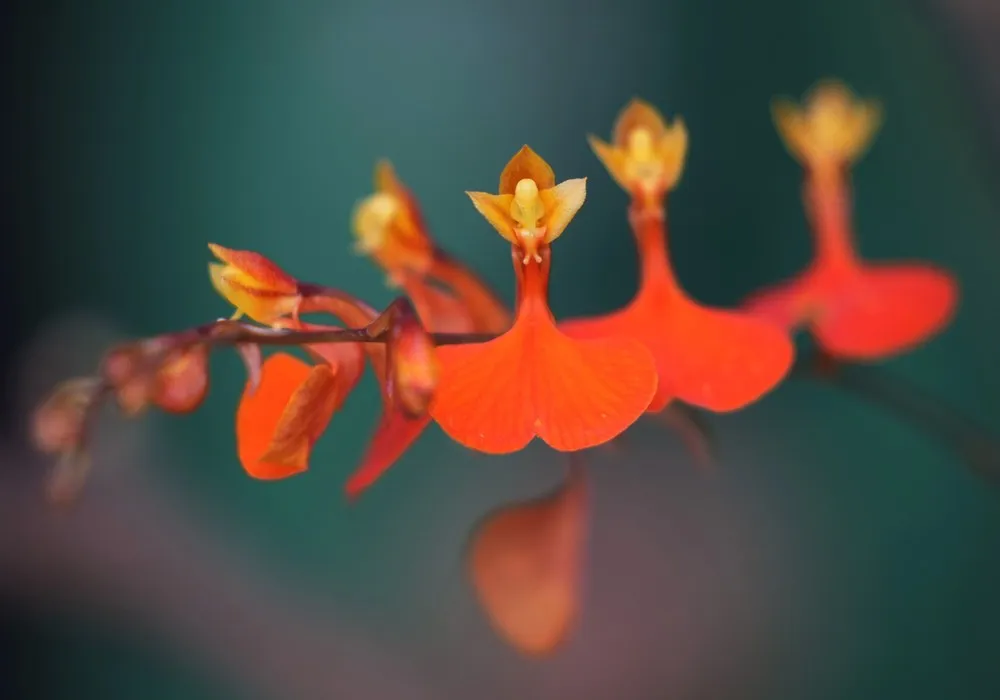 The Day in Photos – September 24, 2022