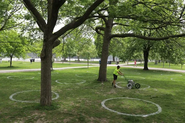 A park worker paints circles to help visitors maintain social distancing to slow the spread of the coronavirus disease (COVID-19) at Trinity Bellwoods park in Toronto, Ontario, Canada on May 28, 2020. (Photo by Chris Helgren/Reuters)