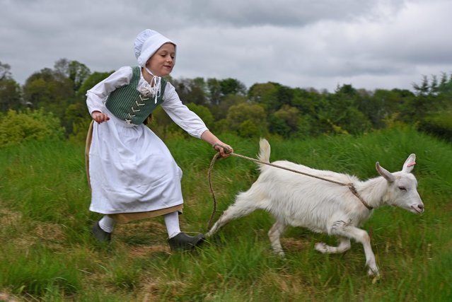 Eva, 10, a cast member of Kynren – an epic tale of England, welcomes Snowdrop the goat as outdoor rehearsals begin for the show’s tenth anniversary season in Bishop Auckland, Co Durham, North East England on May 13, 2025. (Photo by Asadour Guzelian)