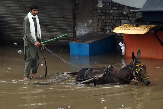 A labourer rides a donkey cart through a flooded street after heavy monsoon rains in Lahore on August 20, 2020. (Photo by Arif Ali/AFP Photo)