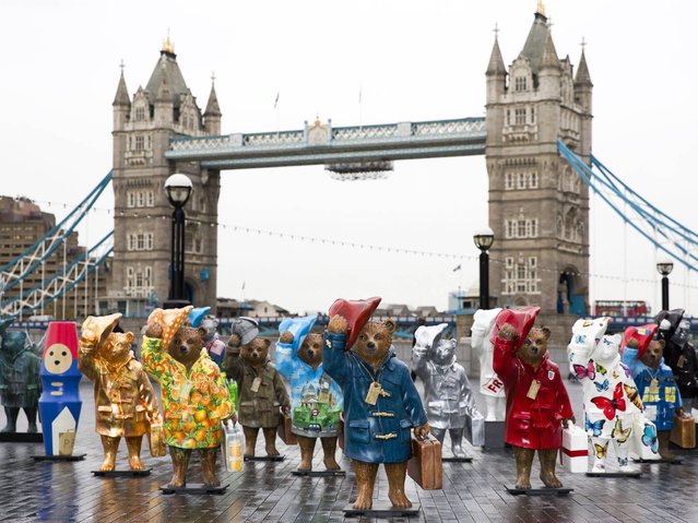 General view of Paddington Bear statues during the launch of The Paddington Trail at The Scoop, More London on November 3, 2014 in London, England. (Photo by Ian Gavan/Getty Images) 