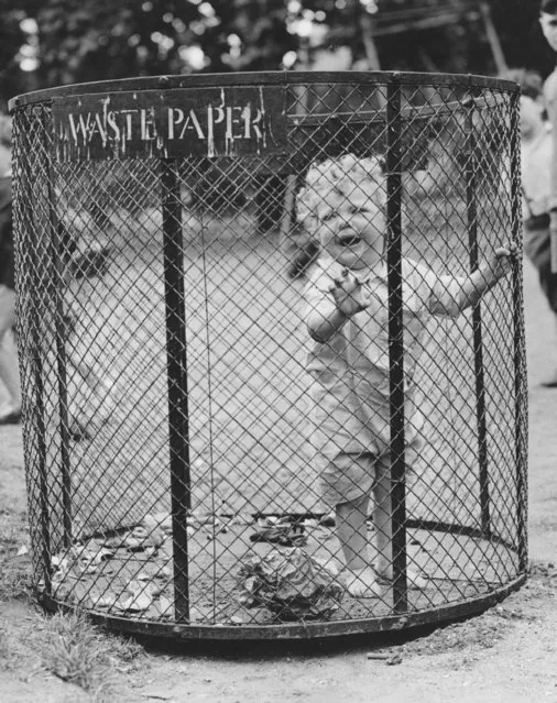 A small brother is left in a'safe' place – a mesh litter bin in St James's Park, London by his bigger brothers who have gone to play, 27th July 1937. (Photo by Reg Speller/Fox Photos/Getty Images)