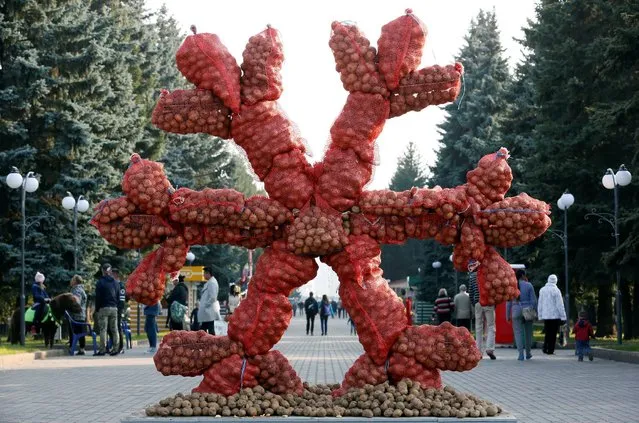 The installation “Potato Flake”, created from sacks of potatoes by Russian artist Vasily Slonov, is on display at the Central Park in Krasnoyarsk, Russia, September 25, 2016. (Photo by Ilya Naymushin/Reuters)