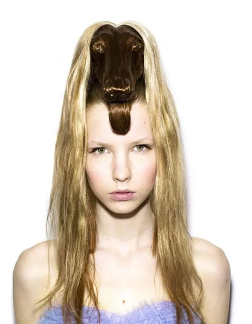 Creative Animal Hair Style Collections