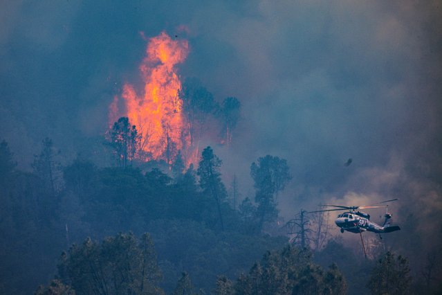 A helicopter flies near flames from the Pickett Fire in Napa County, California, on August 22, 2025. (Photo by Carlos Barria/Reuters)