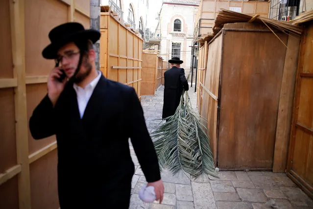 An ultra-Orthodox Jewish man carries palm branches used to cover a ritual booth known as a sukkah during the upcoming Jewish holiday of Sukkot, which begins at sunset on Sunday, in Jerusalem's Mea Shearim neighbourhood October 16, 2016. (Photo by Amir Cohen/Reuters)