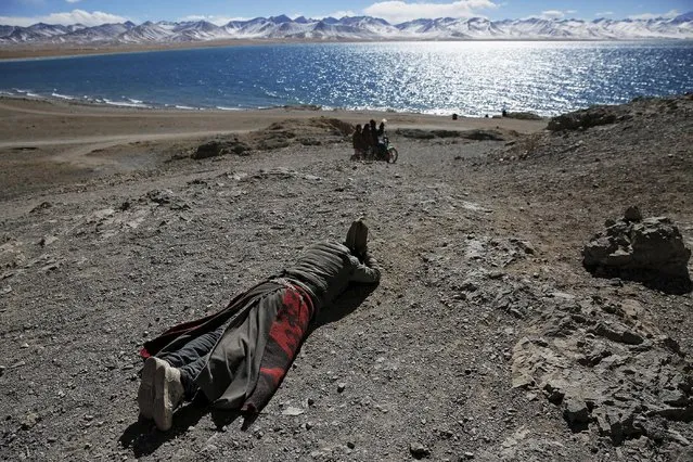 A Tibetan man prostrates himself above Namtso lake in the Tibet Autonomous Region, China November 18, 2015. Located four hours' drive from Lhasa at an altitude of around 4,718m (15, 479 ft) above sea level, Namtso lake is not only the highest saltwater lake in the world but is also considered sacred, attracting throngs of devotees and pilgrims. (Photo by Damir Sagolj/Reuters)
