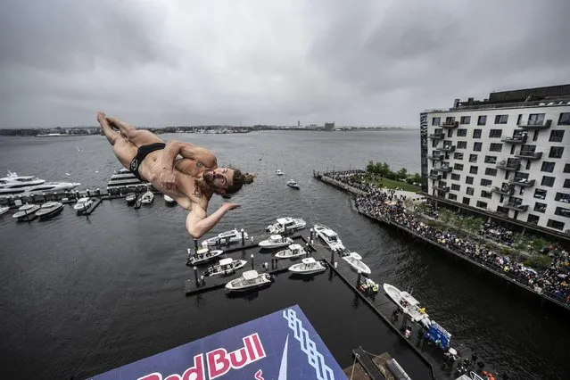 In this handout image provided by Red Bull, David Colturi of the U.S. dives from the 27.5-metre platform on the Institute of Contemporary Art during the final competition day of the first stop of the Red Bull Cliff Diving World Series on June 03, 2023 at Boston, Massachusetts. (Photo by Dean Treml/Red Bull via Getty Images)