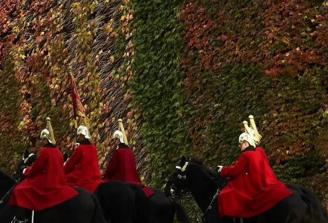 Members of the Household Cavalry ride past autumn foliage in central London, Britain, November 9, 2016. (Photo by Toby Melville/Reuters)