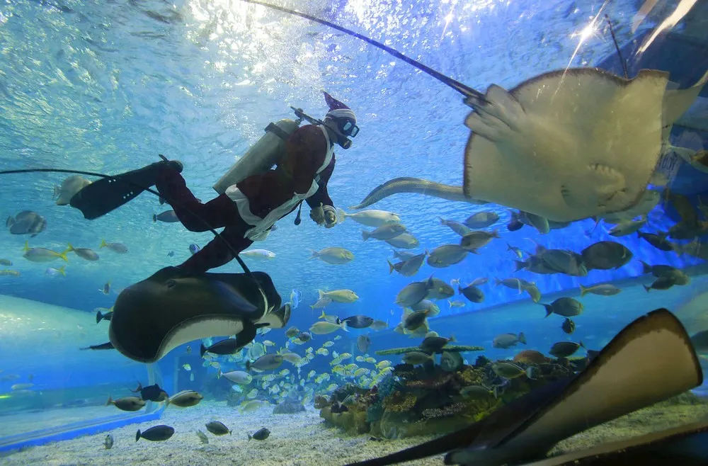 The Day in Photos – December 19, 2015