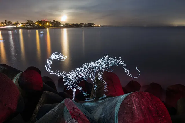 Dinosaur Light Paintings By Darren Pearson