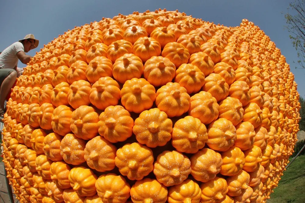 The Week in Pictures: September 14 – September 20, 2013 (62 Photos)