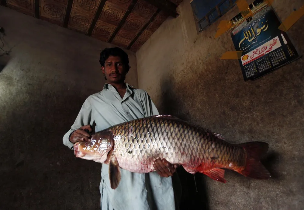 Traditional Fishing on Keenjhar Lake