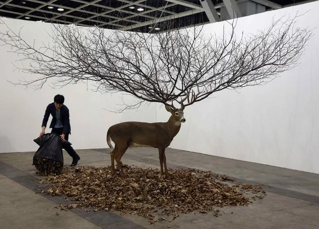 A worker places leaves around an installation by South Korean artist MyeongBeom Kim at Art Basel's 2015 edition in Hong Kong March 13, 2015. The Hong Kong show of Art Basel features 233 galleries from 37 countries and territories, presenting works ranging from the Modern period of the early 20th century to the most contemporary artists of today, according to the official press release. (Photo by Bobby Yip/Reuters)
