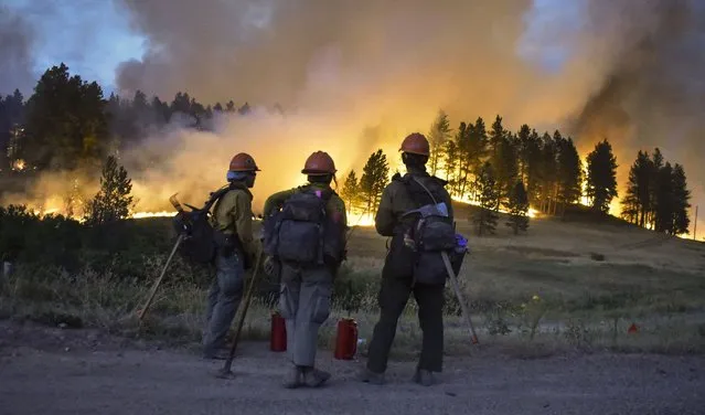 Firefighters watch a hillside burn on the Northern Cheyenne Indian Reservation, Wednesday, August 11, 2021, near Lame Deer, Mont. The Richard Spring fire was threatening hundreds of homes as it burned across the reservation. (Photo by Matthew Brown/AP Photo)