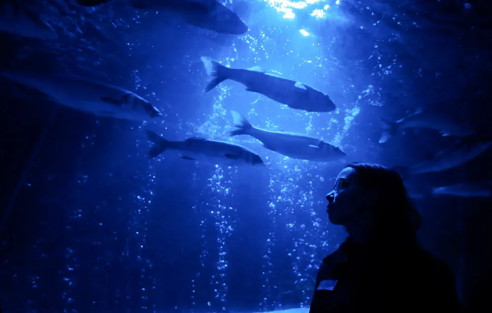 The Day in Photos – January 11, 2017