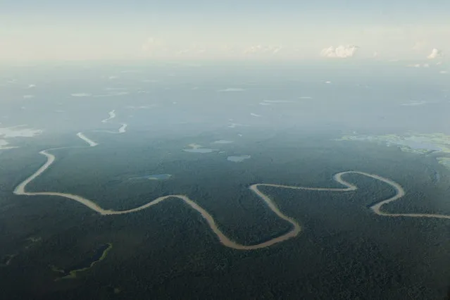 An aerial view of a tributary of the Solimoes river, one of the main tributaries of the Amazon, in the Mamiraua nature reserve where villagers fish for arapaima or pirarucu, the largest freshwater fish species in South America and one of the largest in the world, near Tefe about 600 km (373 miles) west of Manaus, November 28, 2013. (Photo by Bruno Kelly/Reuters)