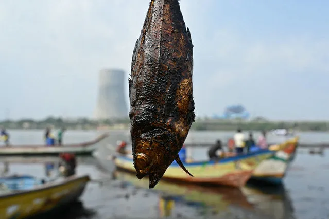 A fisherman shows a dead fish covered in oil at the Ennore creek after oil spilled over the backwater in the aftermath of Cyclone Michaung, on the outskirts of Chennai on December 13, 2023. (Photo by R. Satish Babu/AFP Photo)