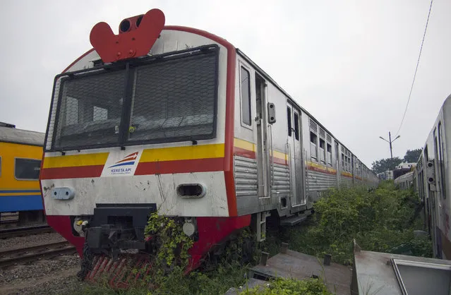 An abandoned train is filled with overgrowns shrubbery, on February 27, 2015, in Purwakarta, Indonesia. (Photo by HKV/Barcroft Media)