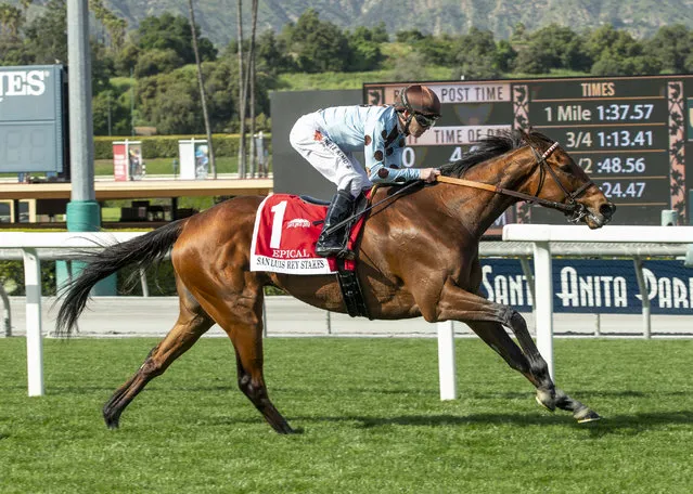 In a photo provided by Benoit Photo, Epical and jockey Tyler Baze win the Grade II, $200,000 San Luis Stakes horse race Friday, March 29, 2019, at Santa Anita in Arcadia, Calif. (Photo by Benoit Photo via AP Photo)