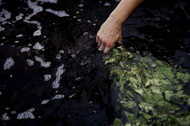 Bathhouse worker Roman Korotkov dips herbs in a large pot of hot bathwater. The banya is an institution in Russia, where bathhouse traditions date back for centuries. (Photo by Jae C. Hong/Associated Press)